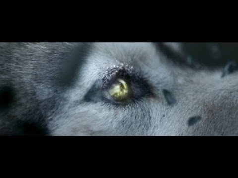 デヴィッド・ゲッタ: シー・ウルフ feat. シーア