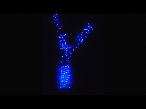 ホゼ・ミゲル・ソコロフ: クリスマスのイルミネーションが、ゲリラを武装解除させるまで