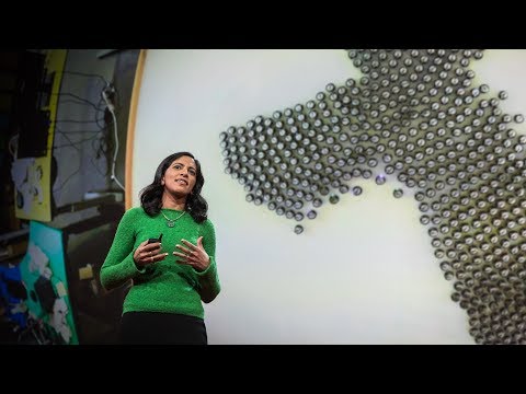 ラディカ・ナグパール: 魚の群れから学習する知能機械
