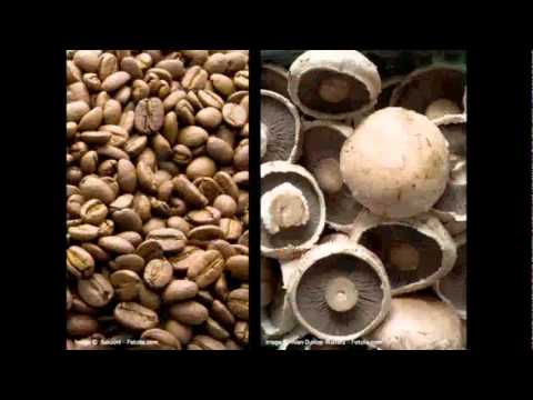 マイケル・パウリィン: 自然の素質を建築に生かす