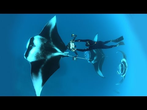 トーマス・ペスチャック: 海洋写真家の世界へ飛び込もう