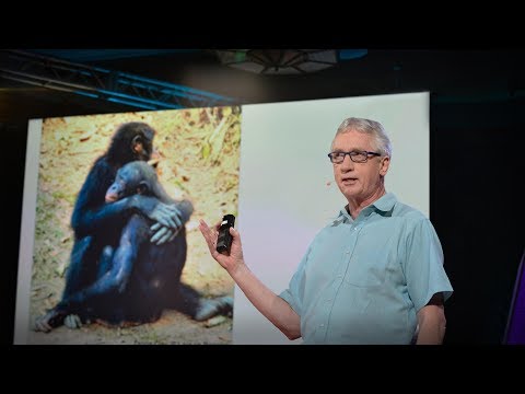 TED日本語 - フランス・ドゥ・ヴァール: アルファ雄の驚くべき科学 | デジタルキャスト