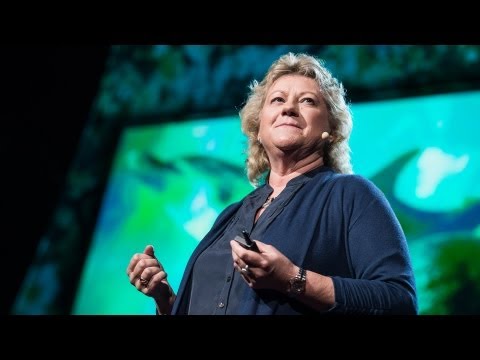 デニーズ・ハージング: ヒトはイルカの言葉を話せるだろうか?