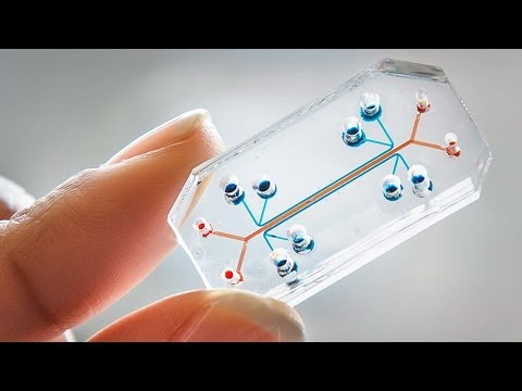 ジュラルディン・ハミルトン: 「臓器チップ」がもたらす未来