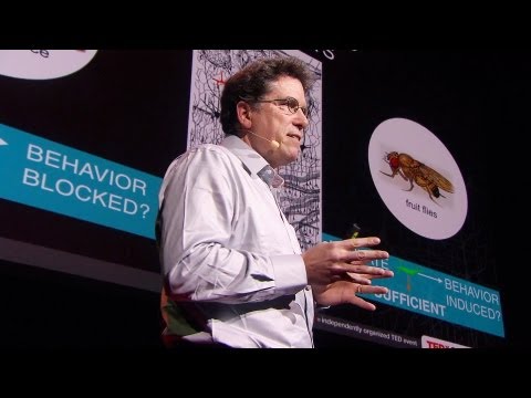 デイビッド・アンダーソン: あなたの脳はただの化学物質の袋ではない