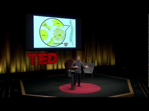 エリオット・クレーン: 慢性痛の謎