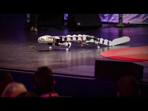 アウケ・エイスペールト: イモリの様に走り、泳ぐことのできるロボット