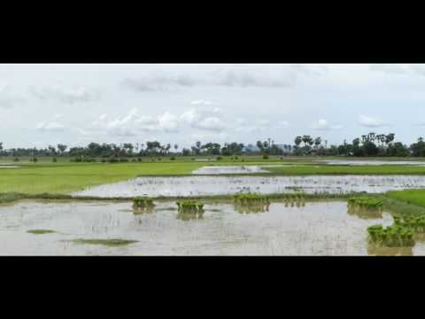 ソーパール・イアー: クメール・ルージュからの脱出