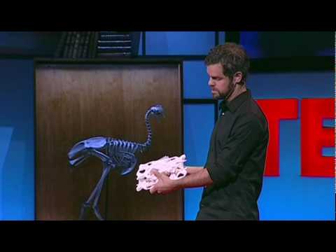 マグナス・ラーソン: 砂丘を建築に変える