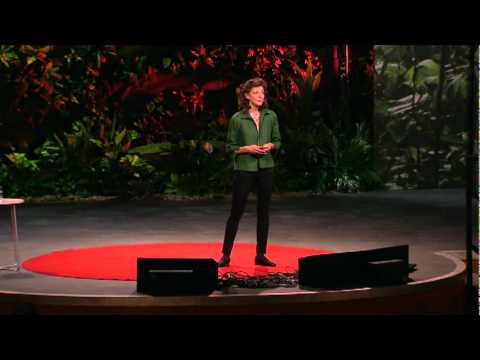 パメラ・メイヤー: 嘘の見抜き方