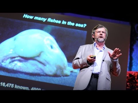 ポール・スネルグローブ: 海洋生物調査