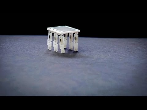 サラ・バーグブライター: 米粒のサイズのロボットを作る理由