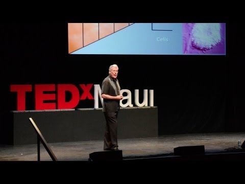TED日本語 - ゲイリー・グリーンバーグ: 美しきナノの世界 | デジタルキャスト