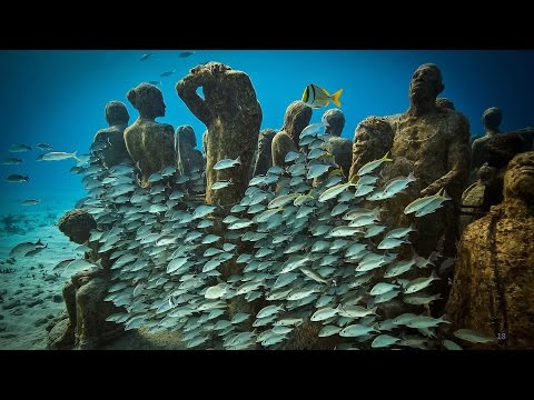 ジェイソン・デカイレス・テイラー: 生命で輝きを増す海中美術館