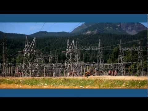 ミッチェル・ジョーチム: 家は建てるな、育てろ!