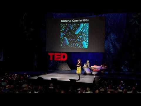 ボニー・バスラー: 細菌はどうやってコミュニケーションするのか