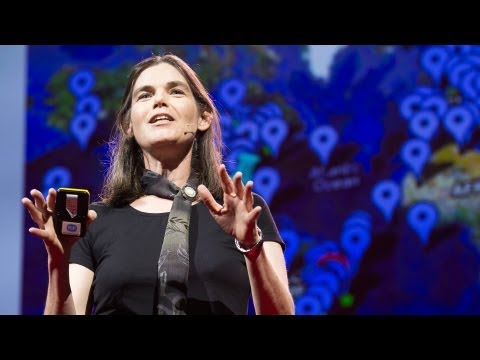 ダフニー・コラー: オンライン教育が教えてくれること