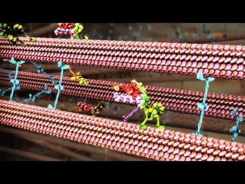 ドリュー・ベリー: 不可視な超微小生物世界のCG