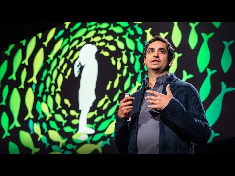 TED日本語 - プロサンタ・チャクラバーティ: 40億年の進化を６分で説明 TED Talk | デジタルキャスト