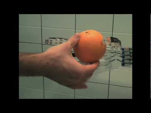 デニス・ホン: 私の7つのロボットたち