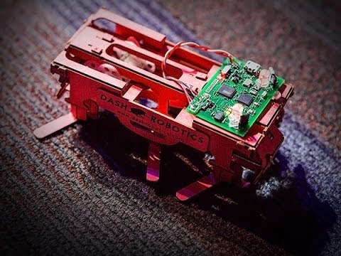 ロバート・フル: 自然界で最も不快な生き物にヒントを得たロボット
