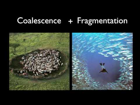 ショーン・ゴーリー: 戦争の数理学