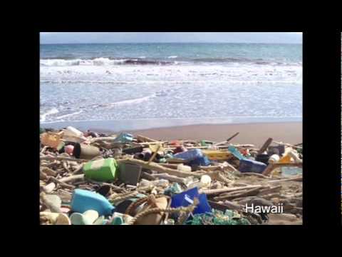 ダイアナ・コーヘン: プラスチック汚染の許容しがたい真実