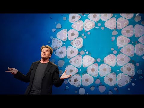 ビャルケ・インゲルス: 水上都市やレゴハウスをはじめとする建築の未来の形 - TED Talk