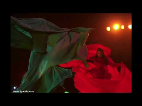 アシェル・ハサン: パキスタンからの平和メッセージ