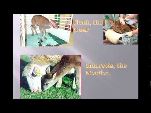 ポール・ルート・ウォルプ: バイオエンジニアリングを問うべき時