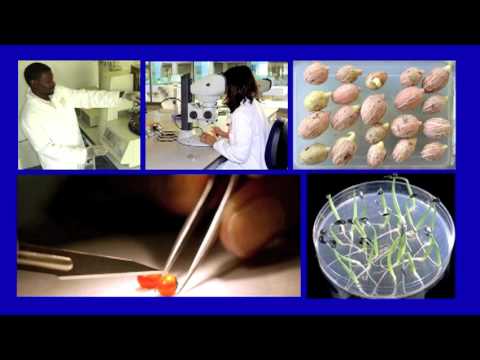 ジョナタン・ドロリー: 私たちは数十億の種を貯蔵しています