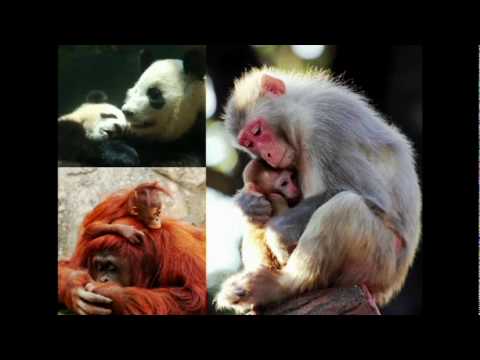 オマール・アフマド: ペンと紙による政治的変革