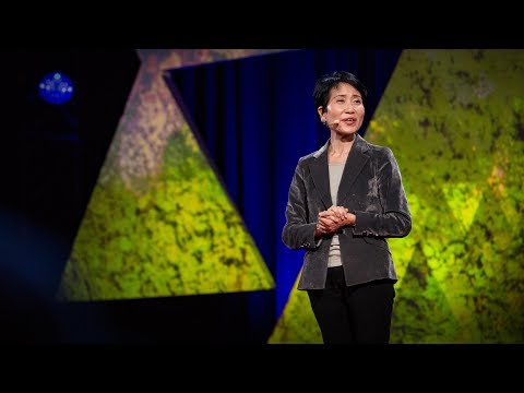 石井菜穂子: 地球を守るための経済的考察