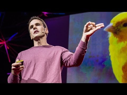 TED日本語 - リード・モンタギュー: 5000人の脳からわかること