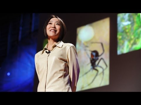 シェリル・ハヤシ: クモの糸の壮麗さ