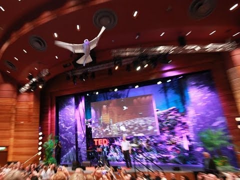 マルクス・フィッシャー: 鳥のように飛行するロボット